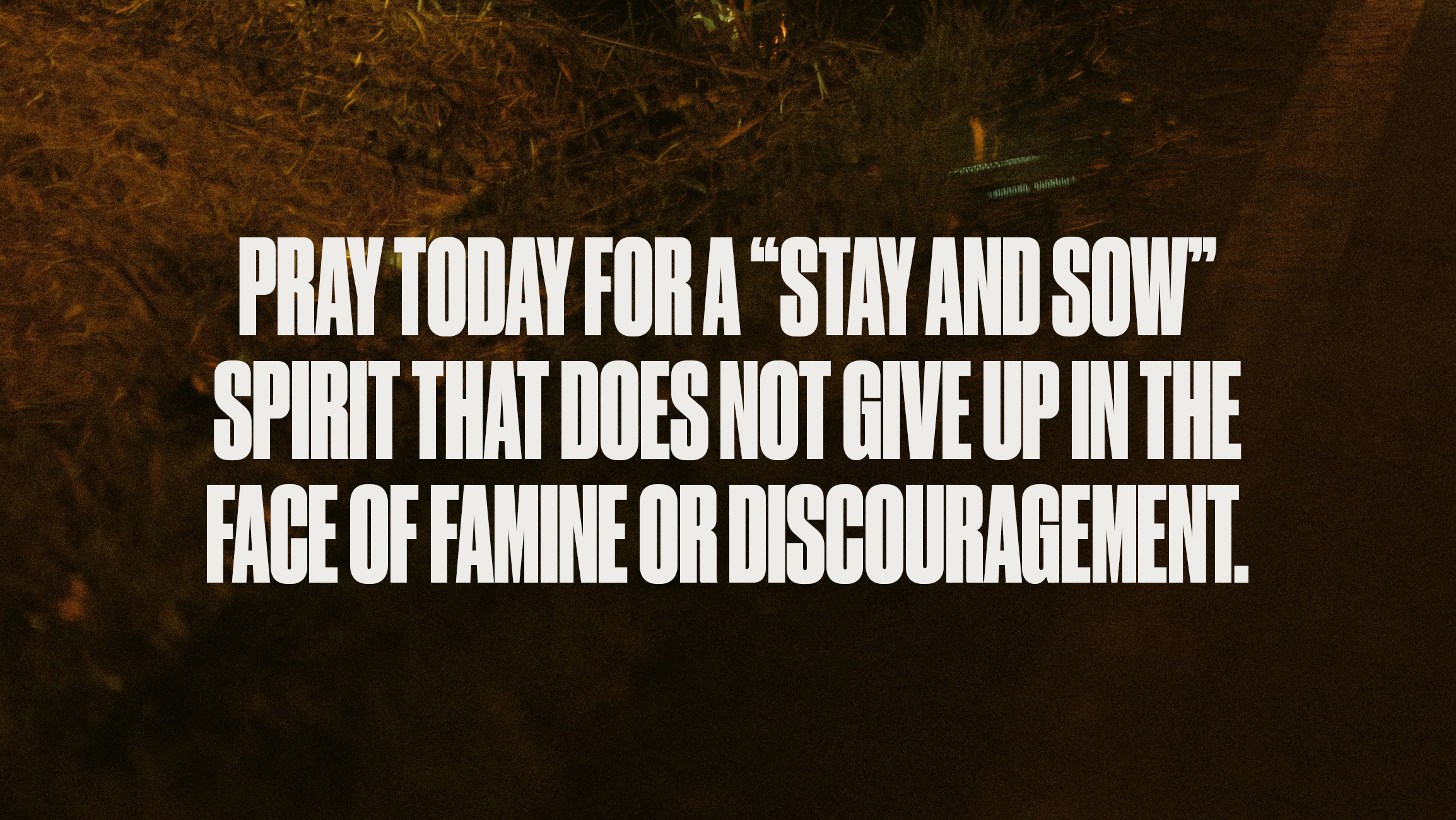 Stay and Sow