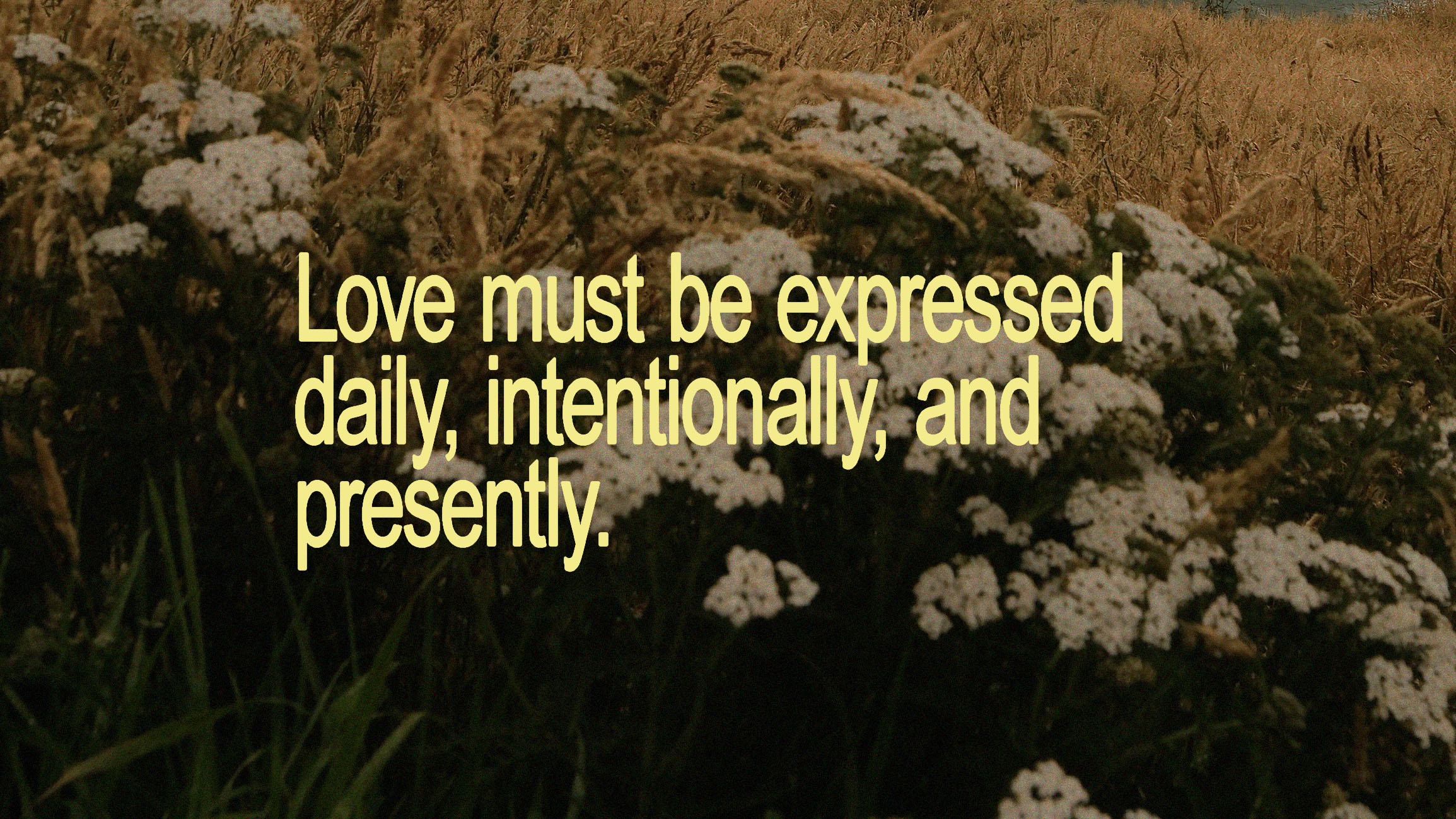 Laws That Hold a Marriage Together (Part One)