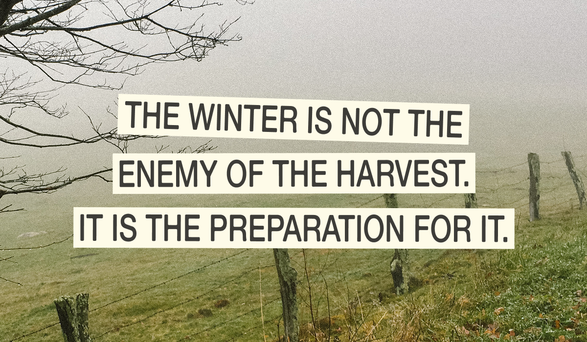  Barren Seasons Yield Fruit Too